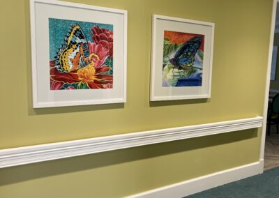 framed pictures of butterflies